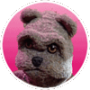 L'avatar di kingbove