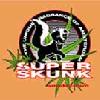 L'avatar di superskunk85