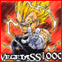 L'avatar di vegetass1000
