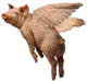 L'avatar di flyingpig